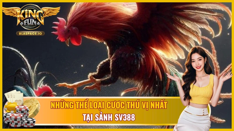 Cửa cược Meron tại SV388 đá gà Kingfun