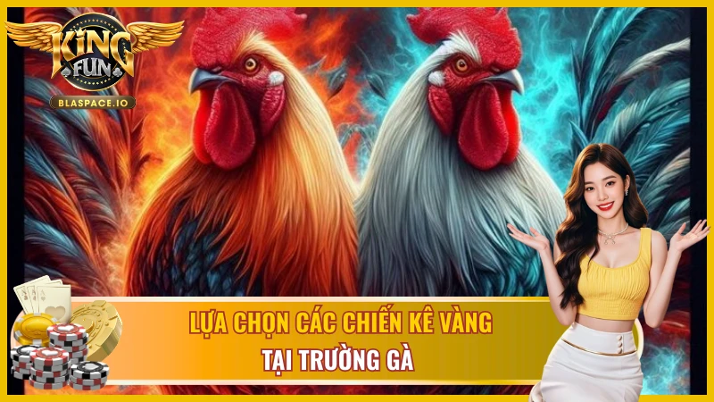 Chọn các chiến kê dũng mãnh để thi đấu đá gà Philippines