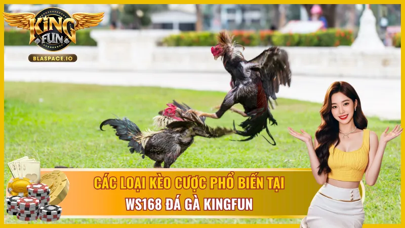 Điểm danh các kèo cược hấp dẫn trong WS168 đá gà