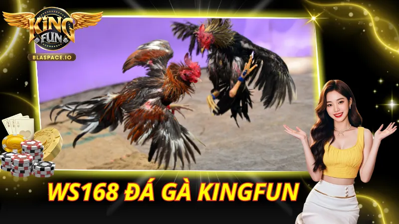 WS168 Đá Gà